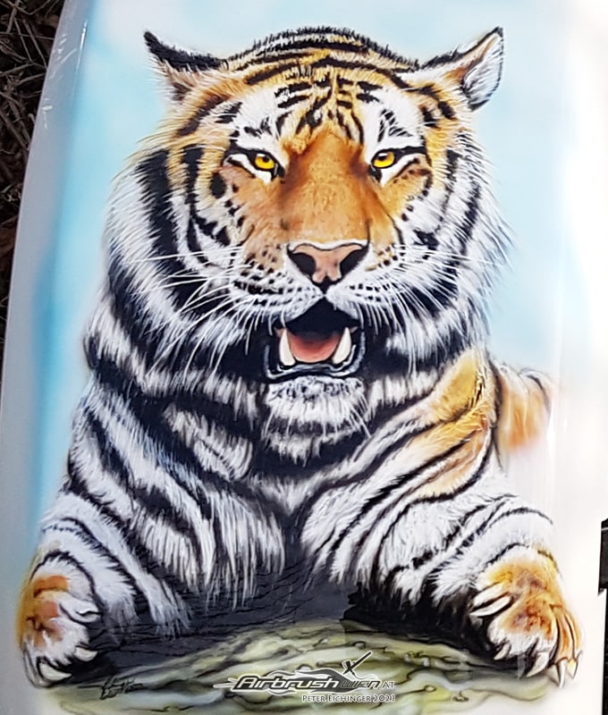 Tiger Boris